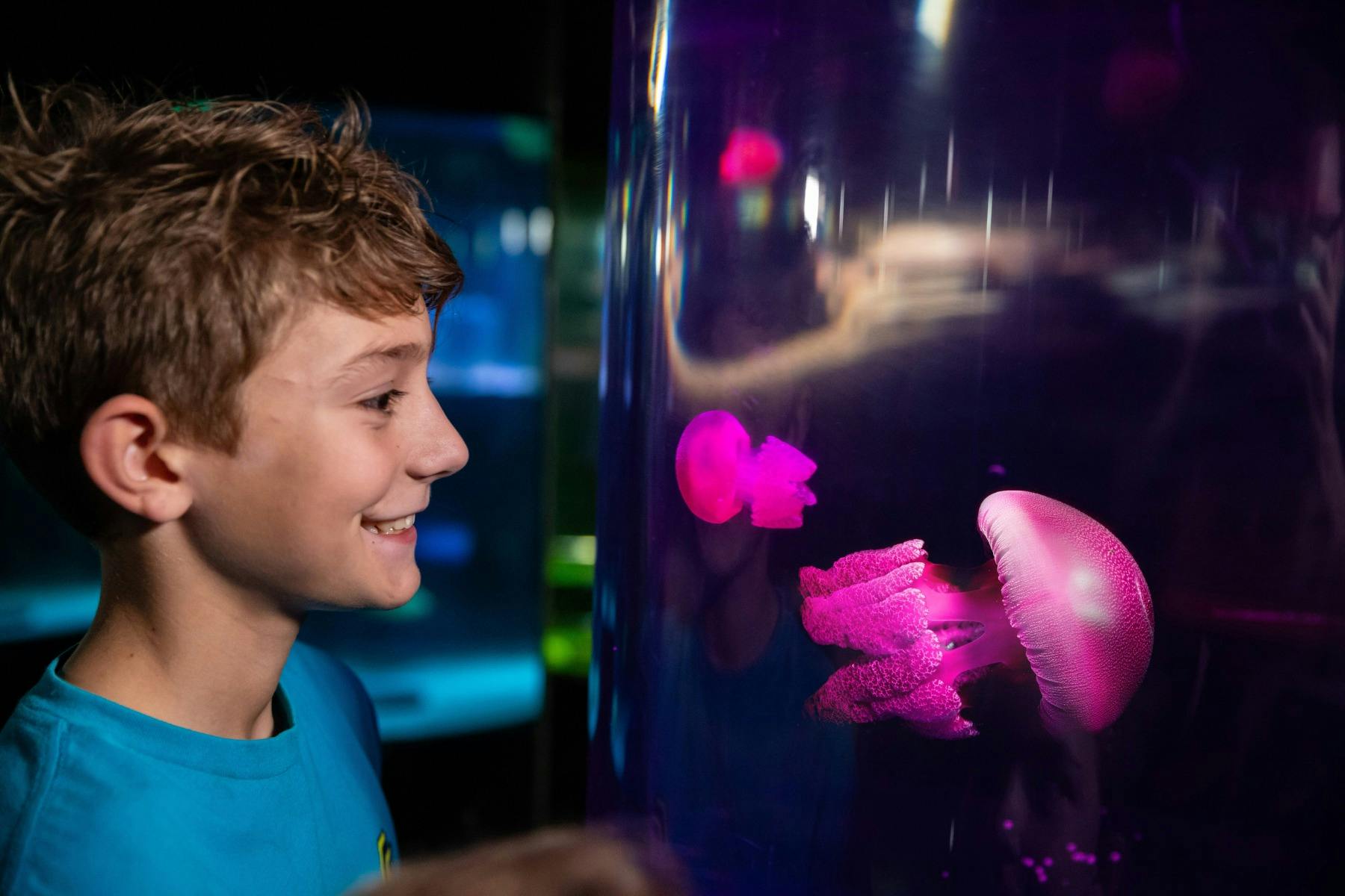 Boy smiling and looking at jellyfish