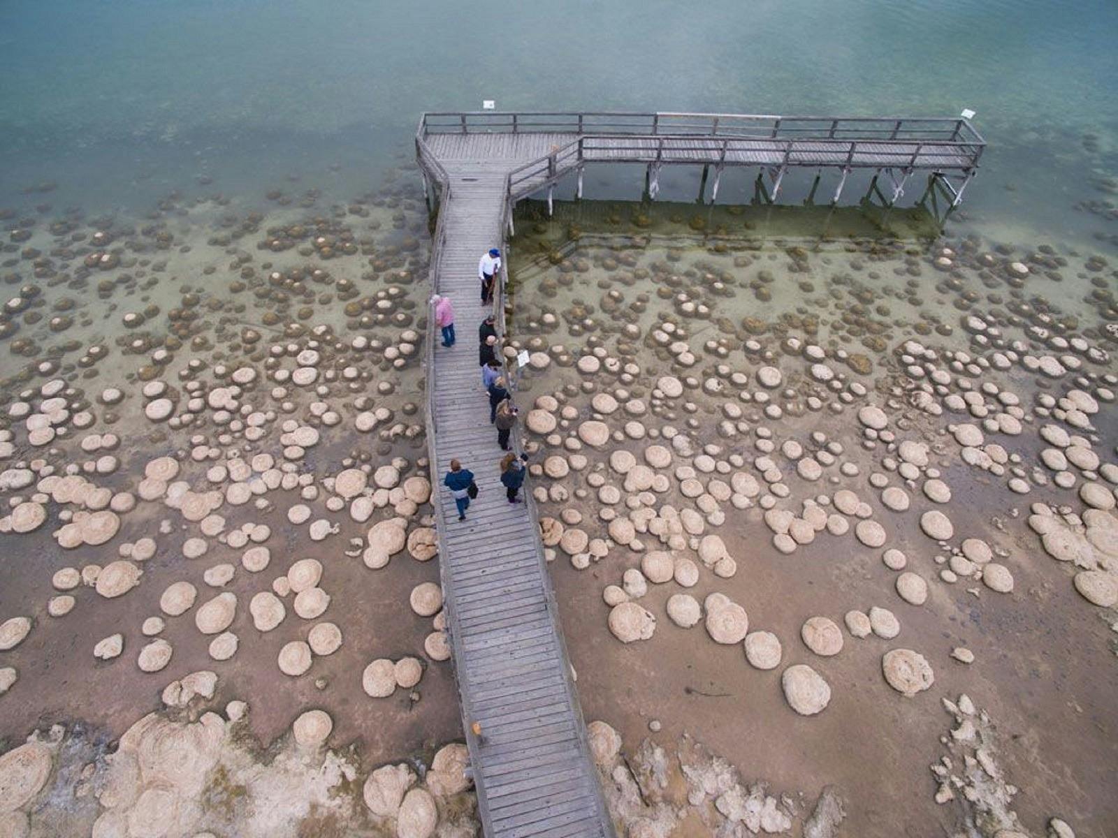 Mandjoogoordap Dreaming, Mandurah, Western Australia
