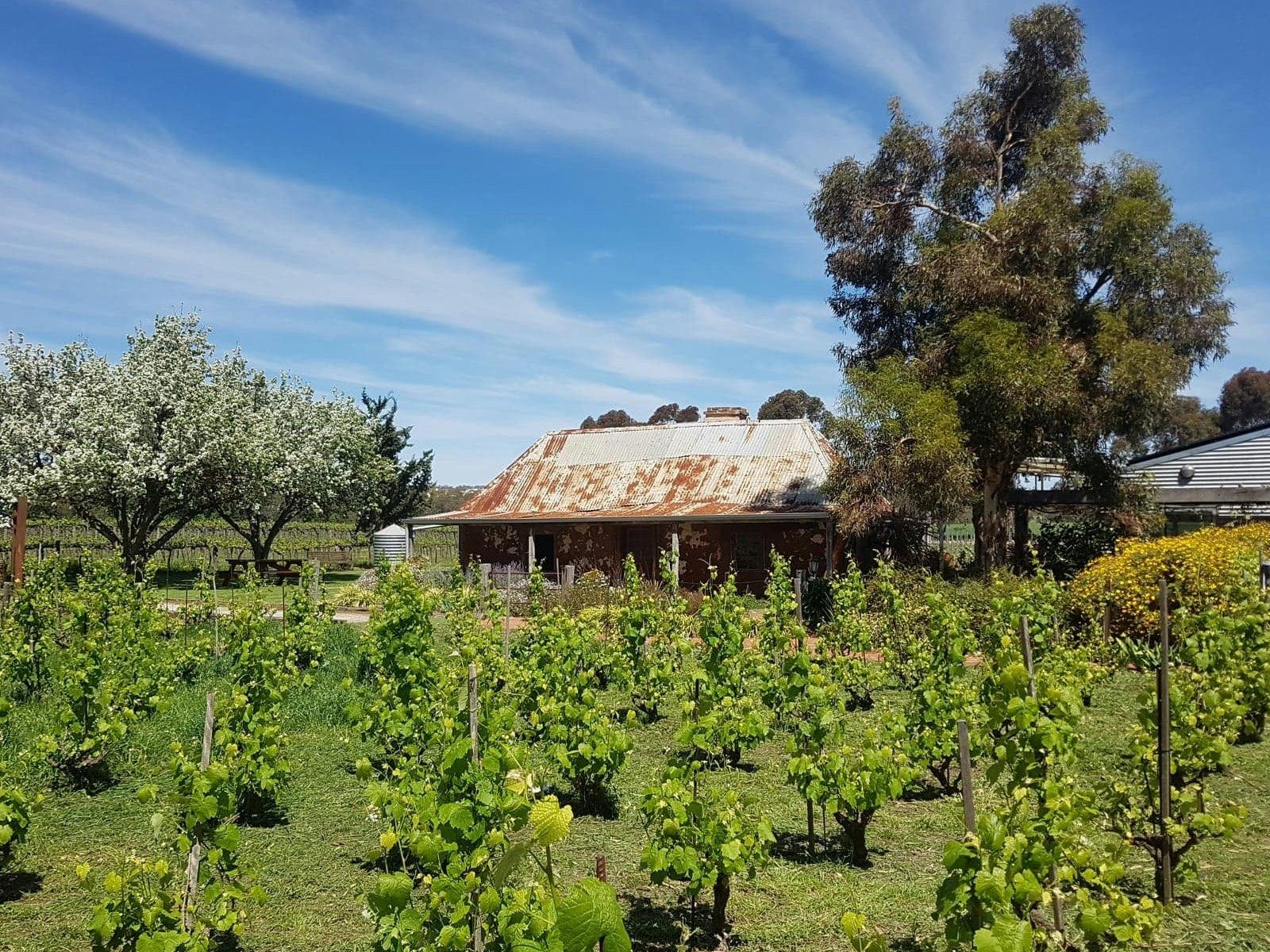 Steicke 'Smithy Cottage' at Gibson Wines