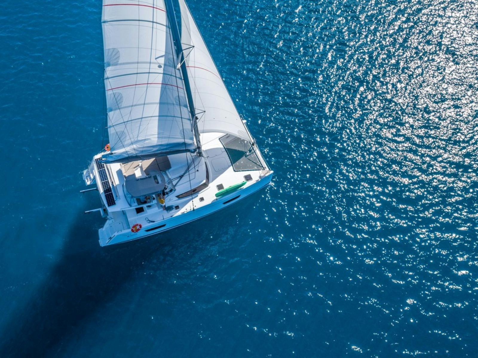 Sailing catamaran under sail
