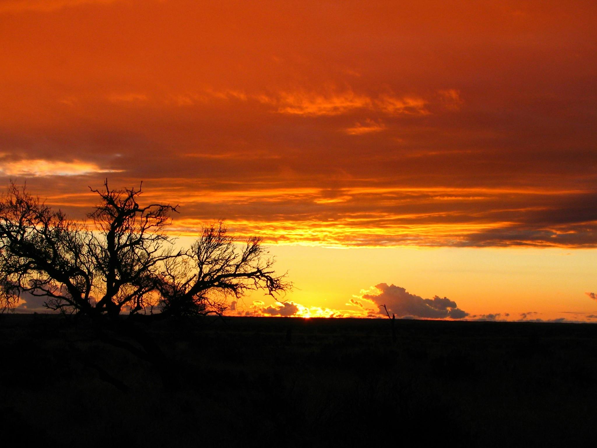 A golden landscape