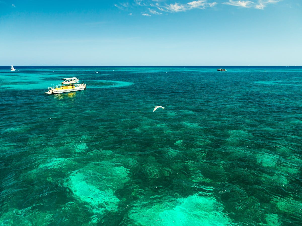 Cairns Green Island