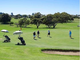 Golfers enjoying a scenic round at Kingston Golf Club along the beautiful Limestone Coast coast.