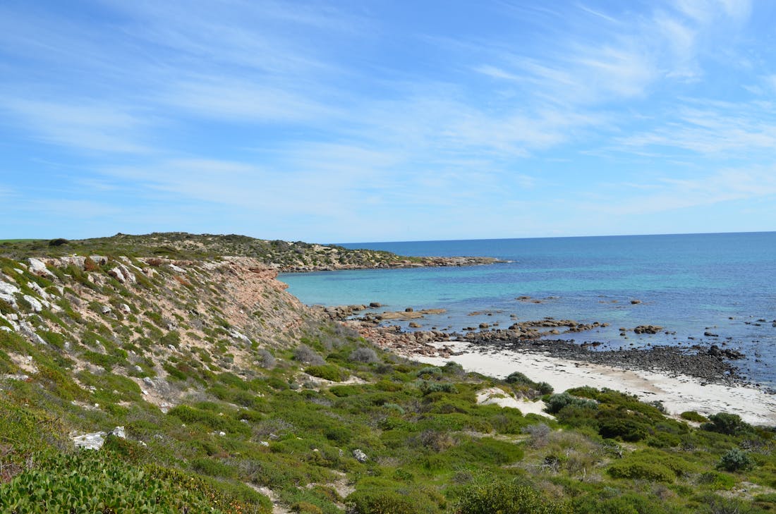 Gravel Bay Bush Campground - Corny Point, Accommodation