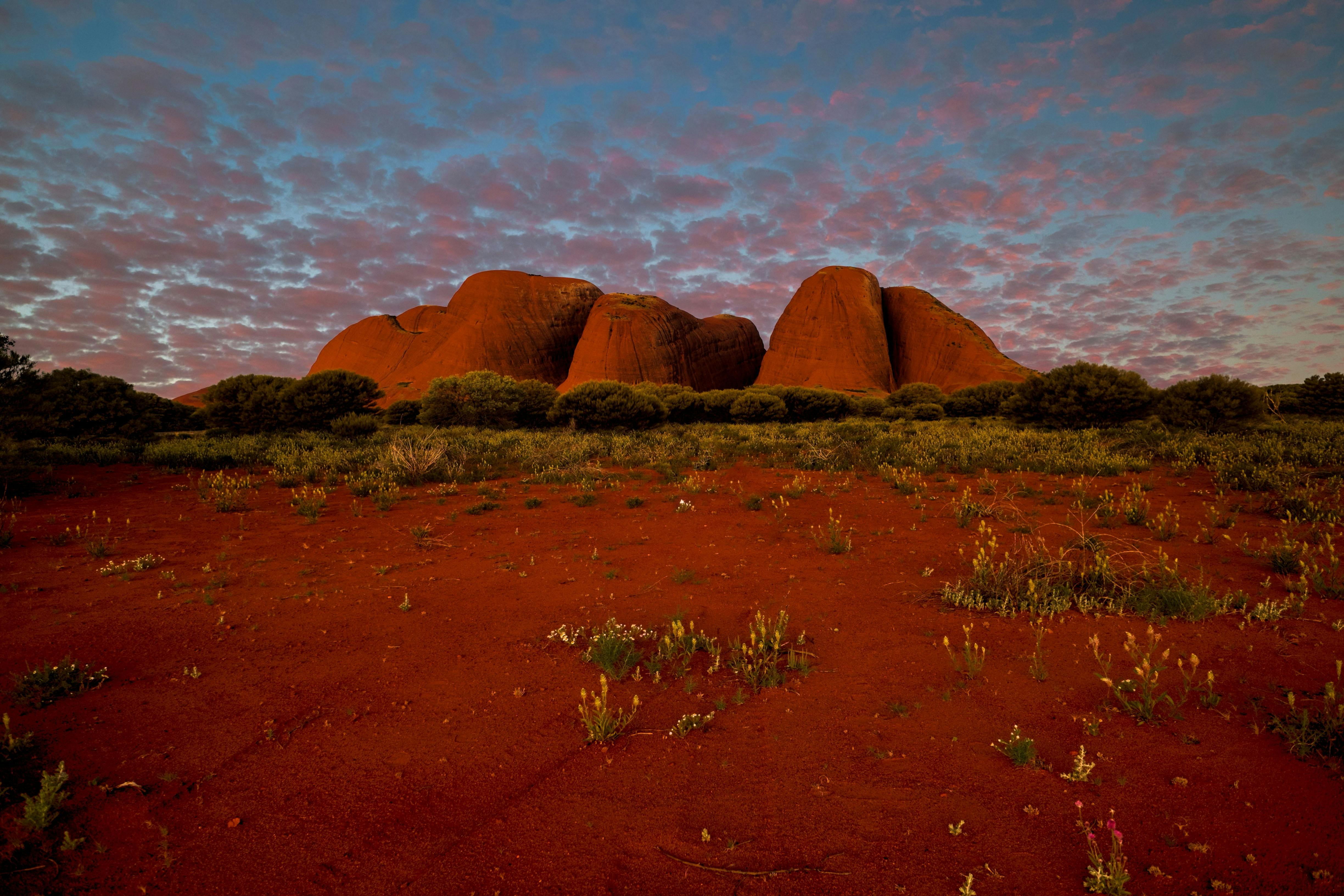 Kata Tjuta