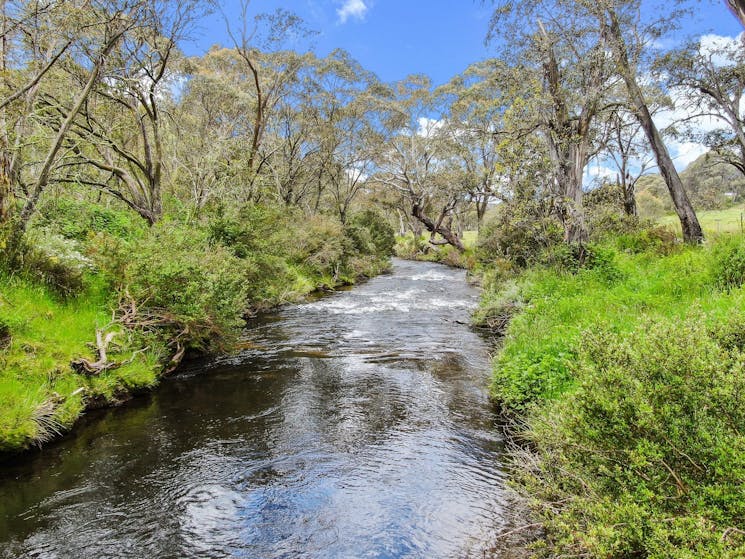 Fed by mountain streams, the Mowamba River is a great spot for trout fishing or a refreshing swim