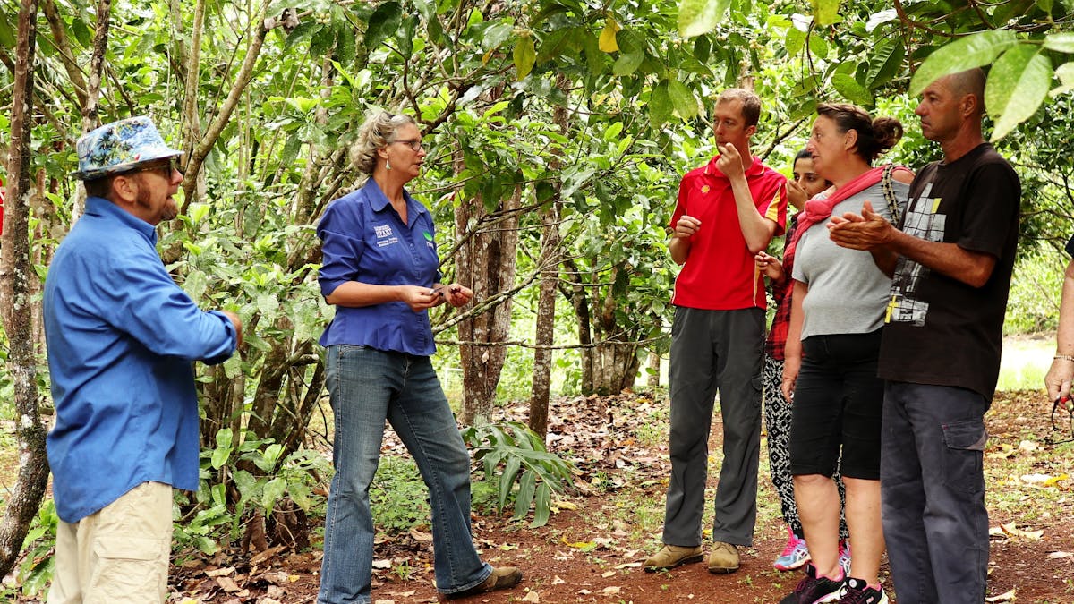 North Queensland Tasting Tour