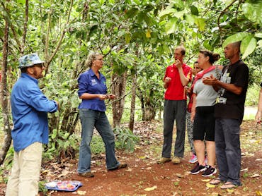 North Queensland Tasting Tour