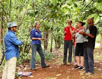 North Queensland Tasting Tour