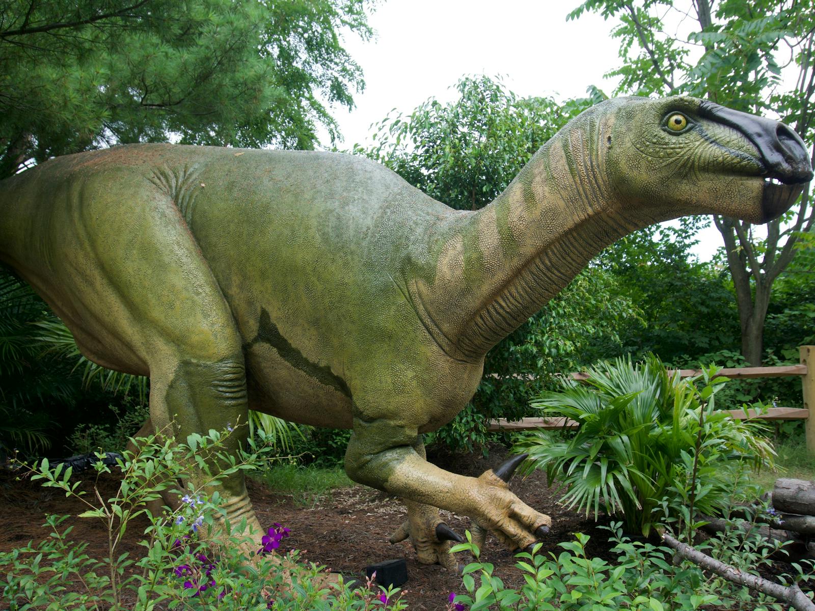 Image for Dinos After Dark