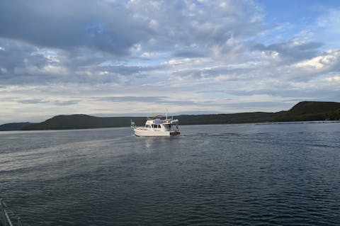 Vines and Caves - Exploring the Valley 16 7ffda41d6117710215de70a9171a9b5e