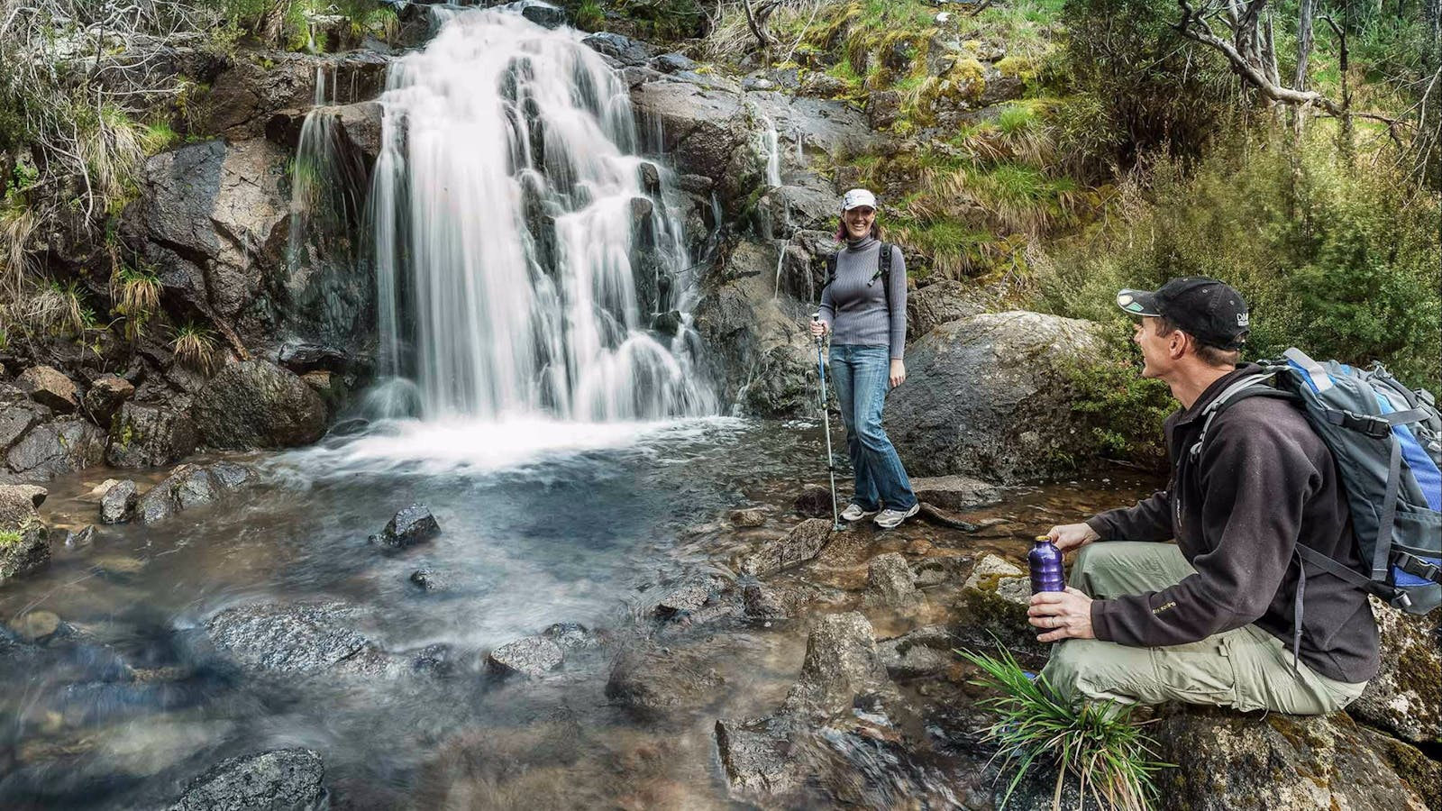 Waterfall Walking Track