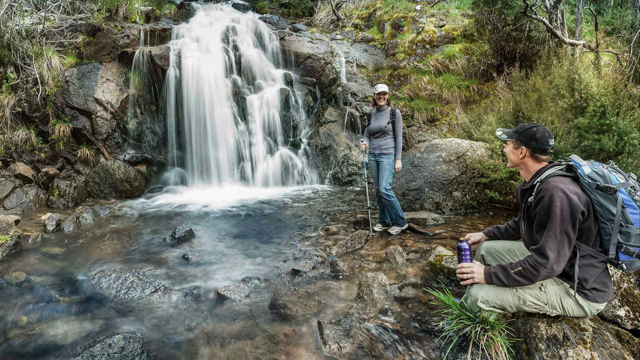 Waterfall Walking Track