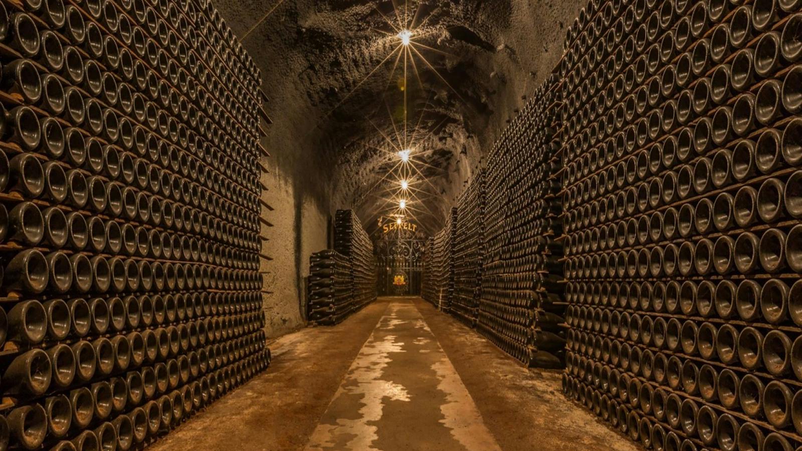 Seppelt Wines Tours - Great Western