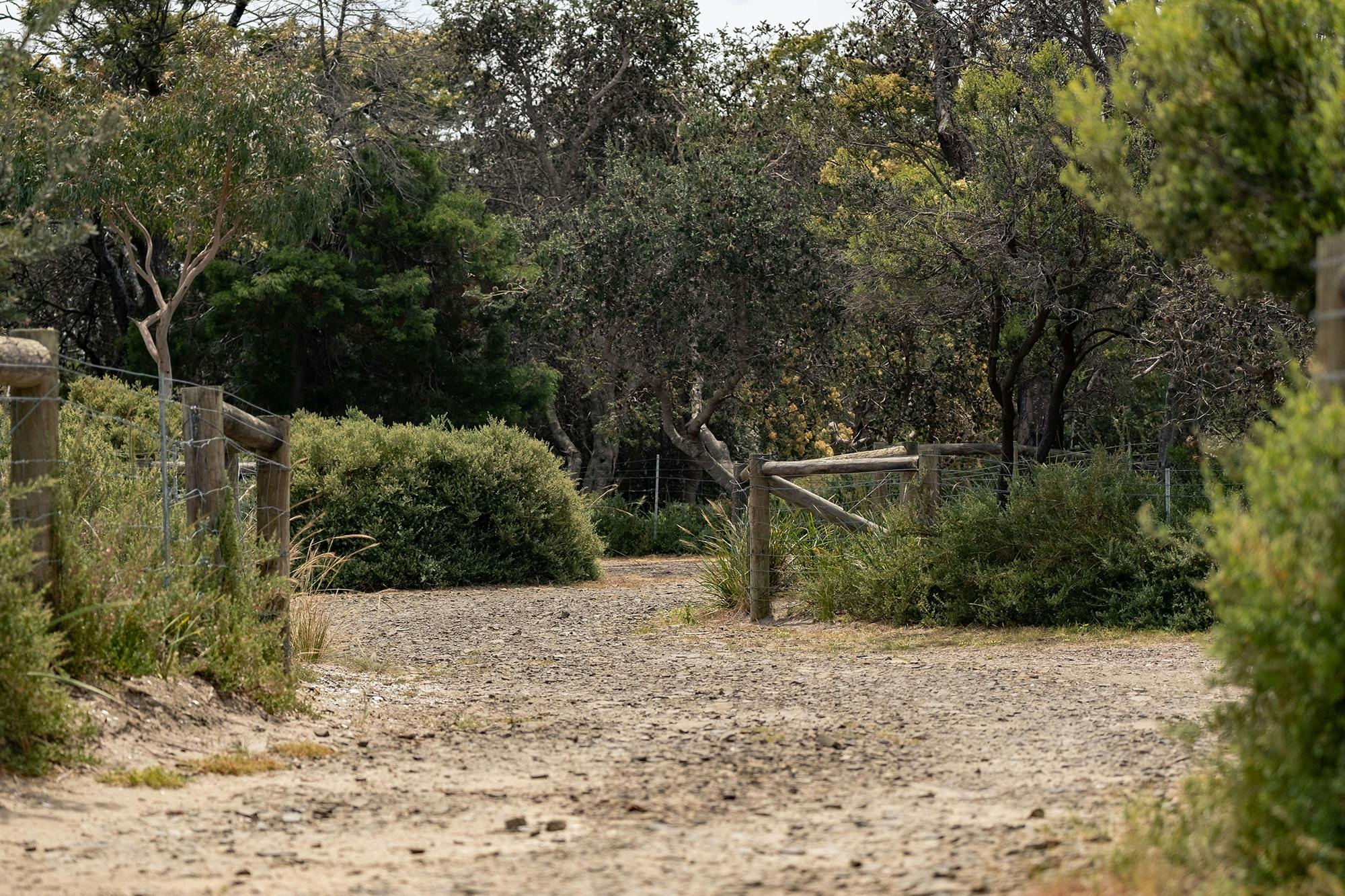 River and Rocks (Swan River Camping) - Free Camping