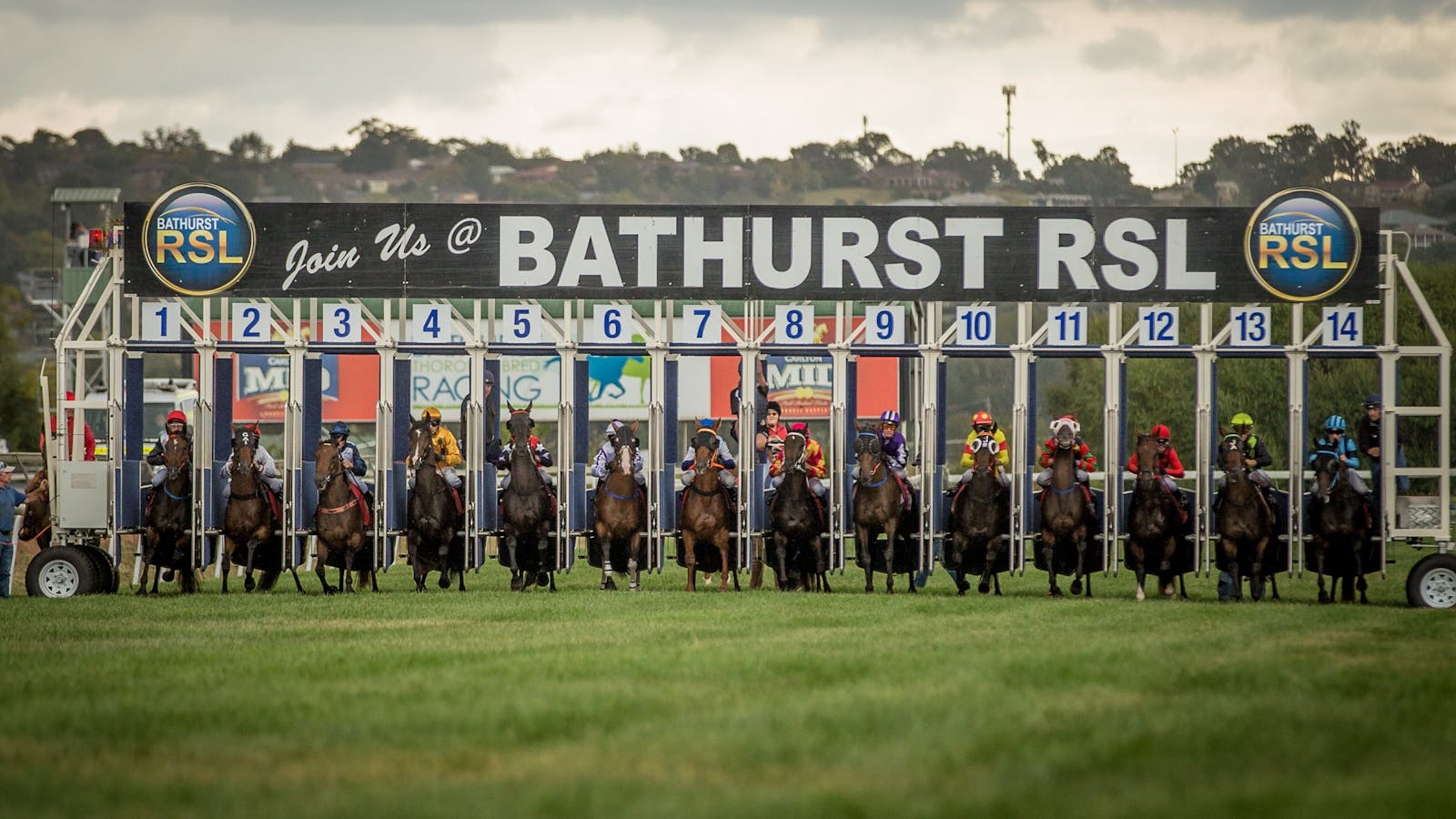 Image for The Panorama/Bathurst Cup