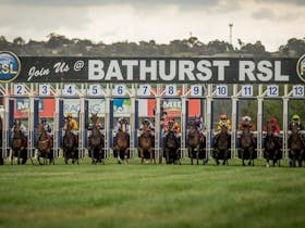 The Panorama/Bathurst Cup Cover Image