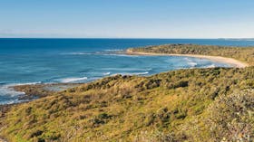 Angourie walking track, Yuraygir National Park. Photo: Rob Cleary