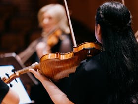The back of a long-haired person holding a violin and bow to their shoulder among other musicians