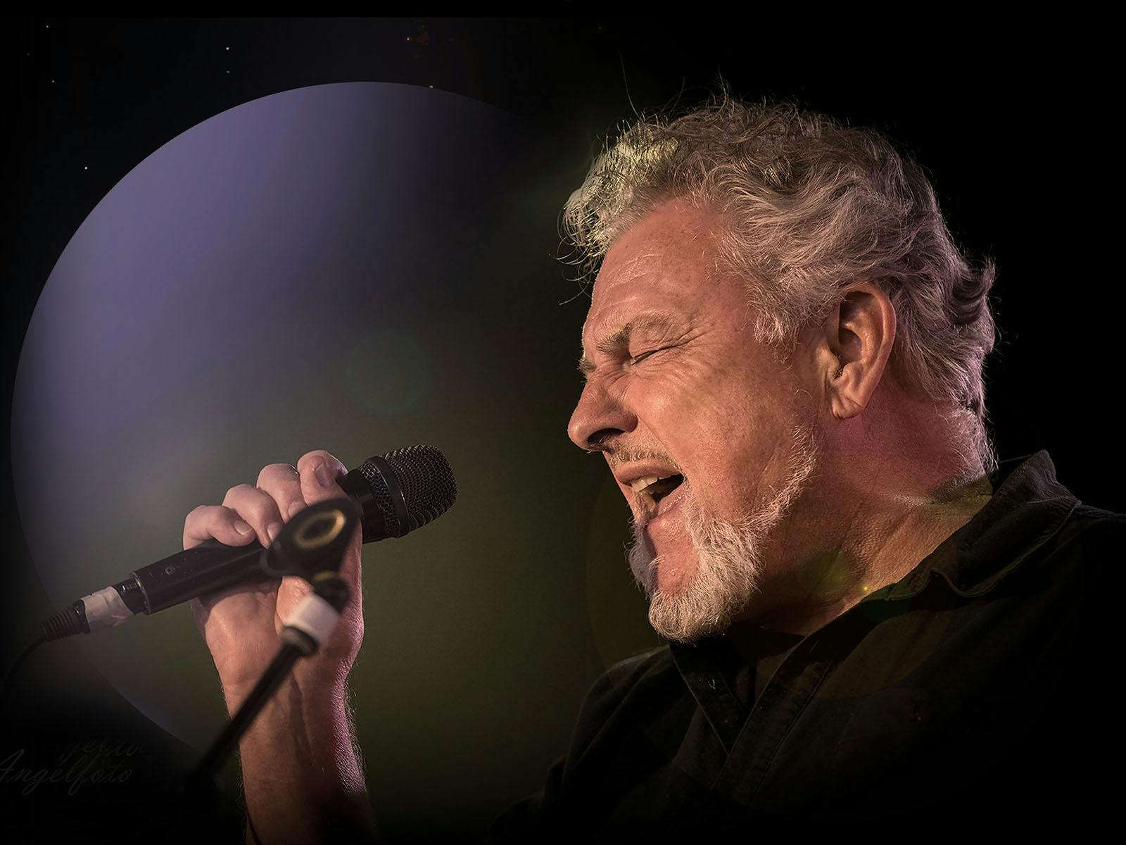 Ross Wilson hero image
