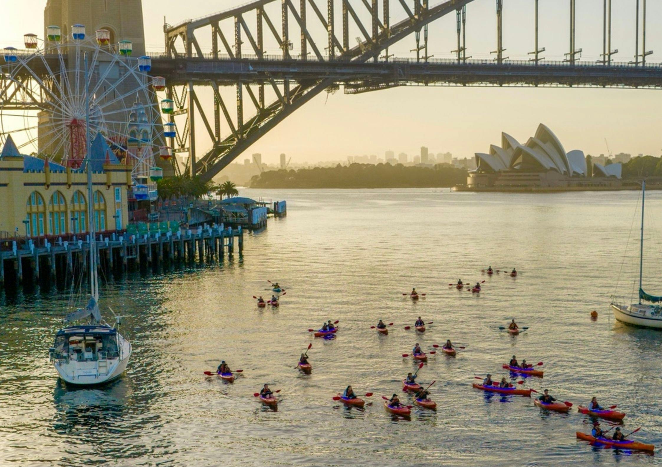 一群划桨者在月神公园附近的水面上
