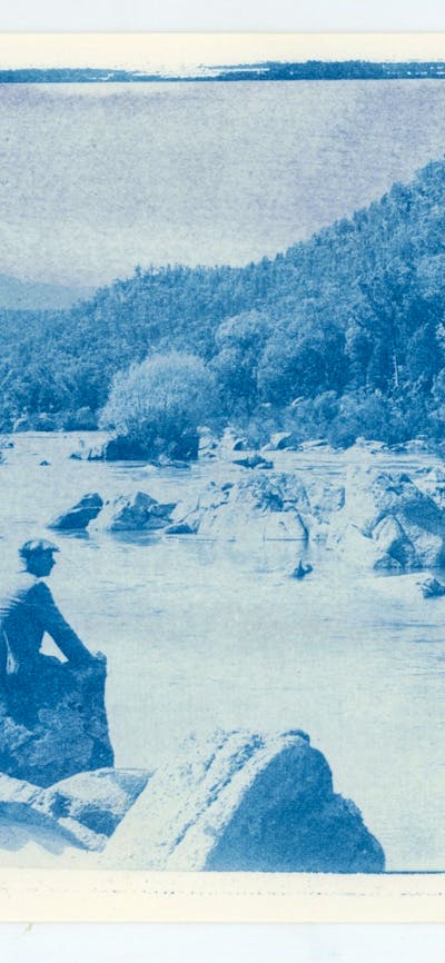 A cyanotyping print artwork in blue and white.