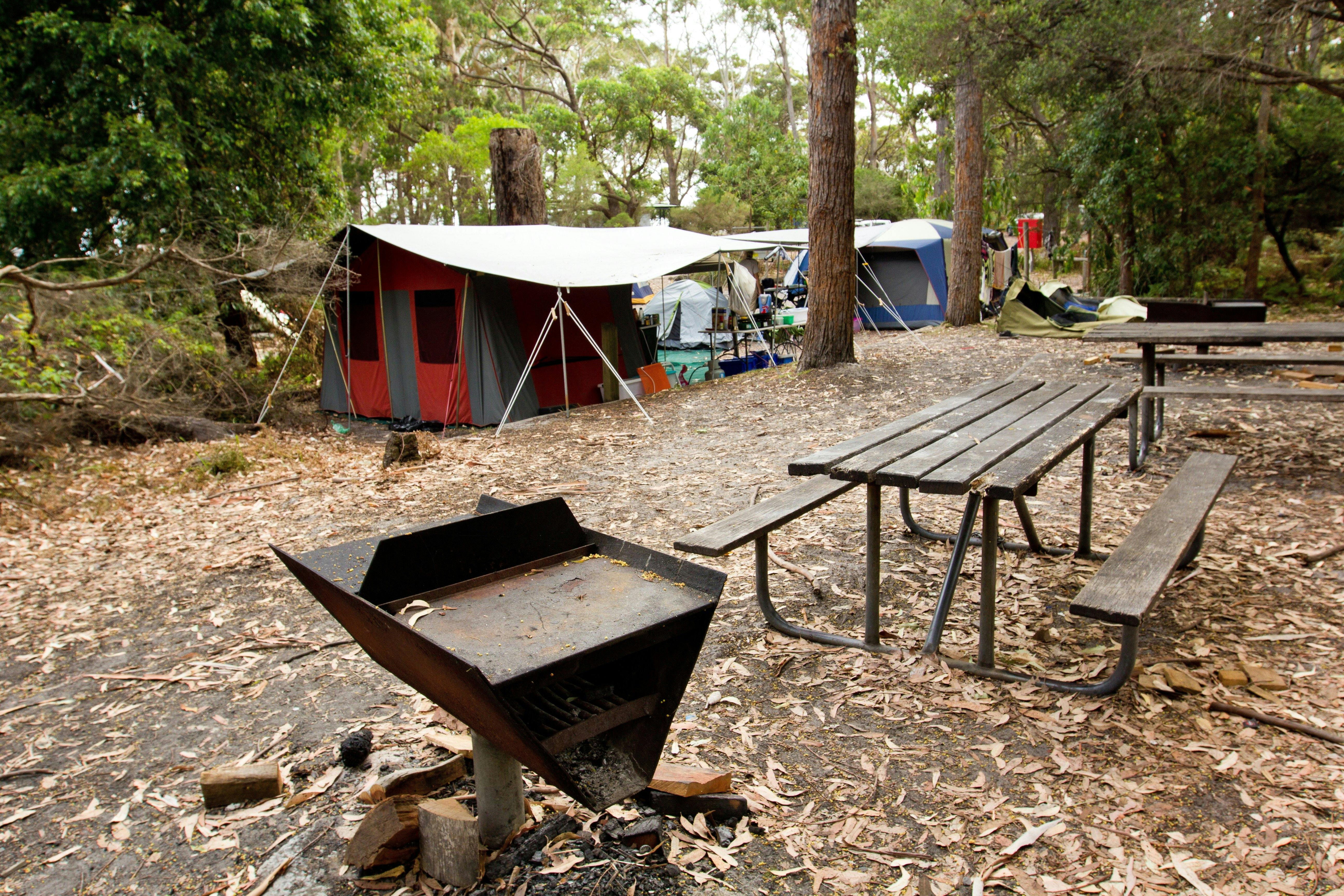 Bistrol Point campground, Booderee National Park