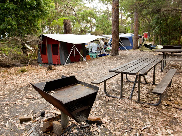 Bistrol Point campground, Booderee National Park