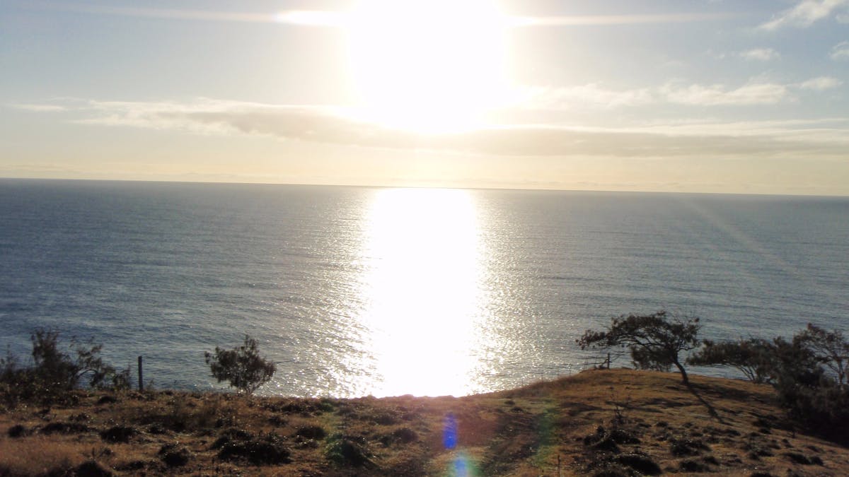 Curtis Island