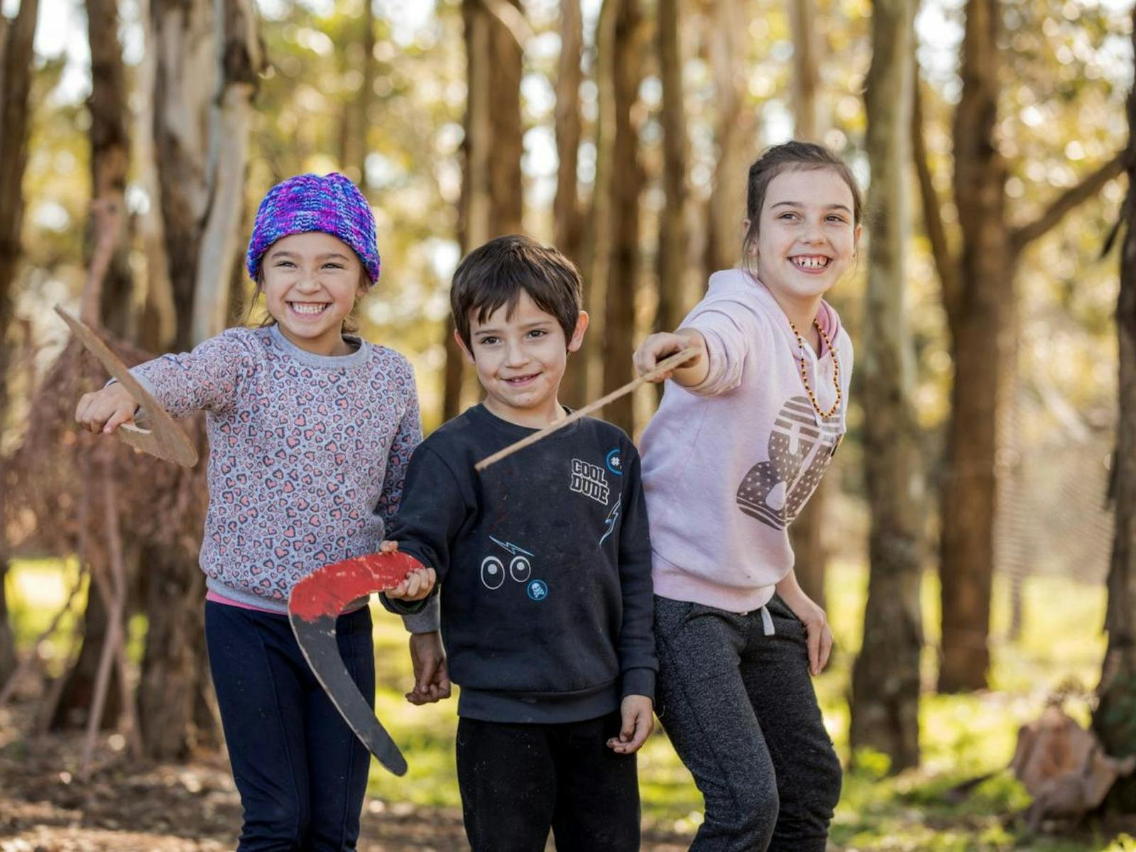Image for Boomerang Art and Dance at Rouse Hill House and Farm