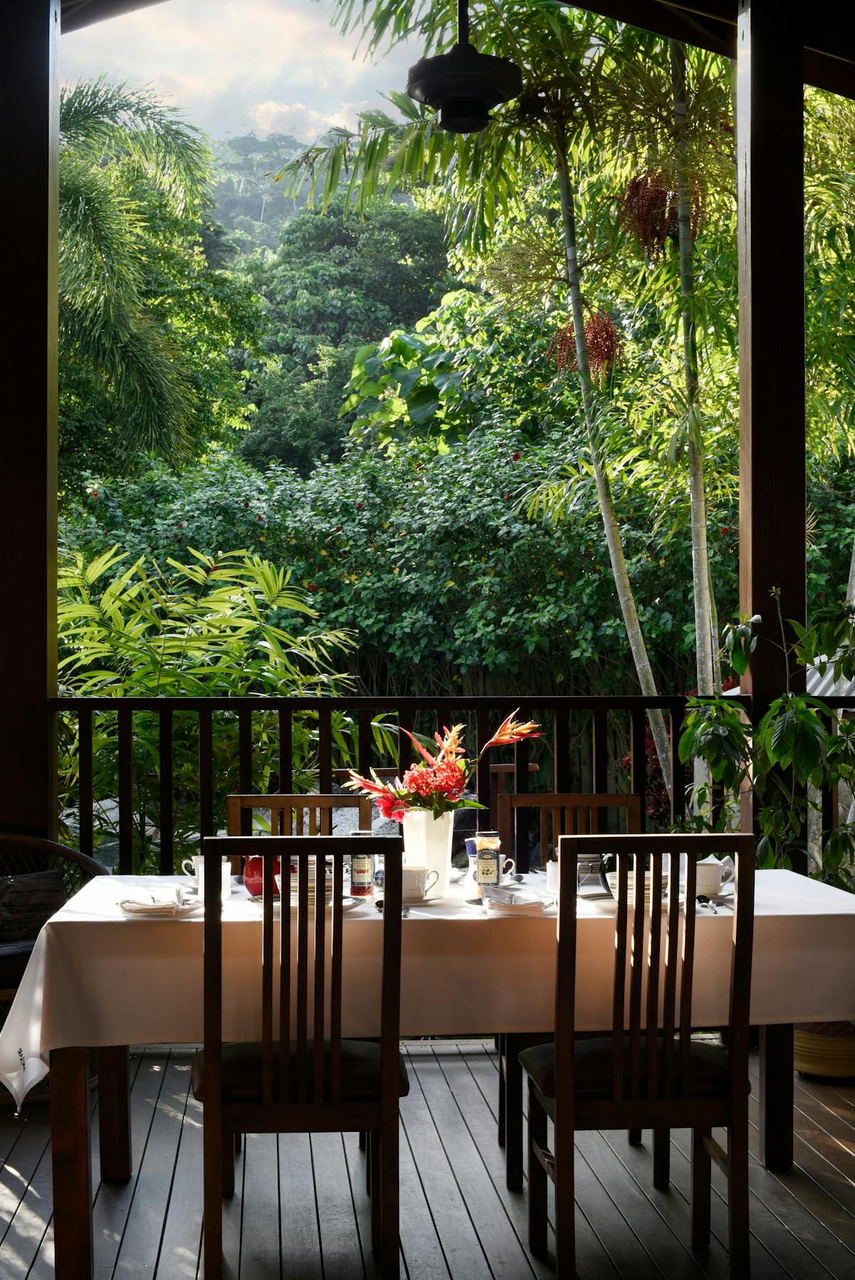 Breakfast Table Overlooking the Pool and Forest