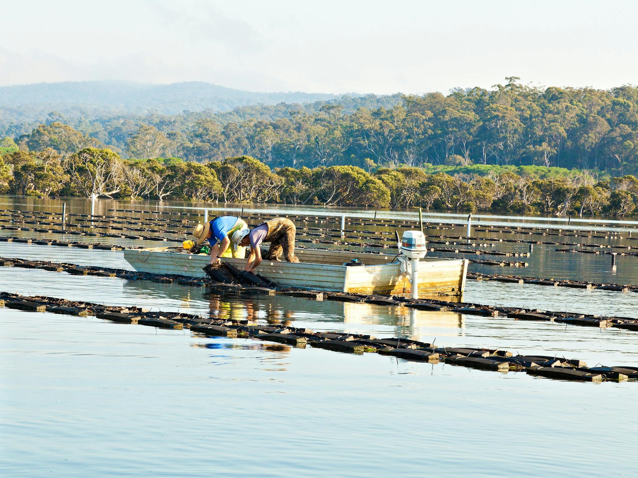 Merimbula BIG4 Merimbula Tween Waters Holiday Park