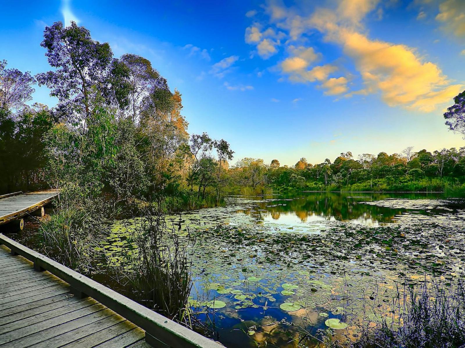 Berrinba Wetlands