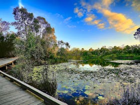 Berrinba Wetlands