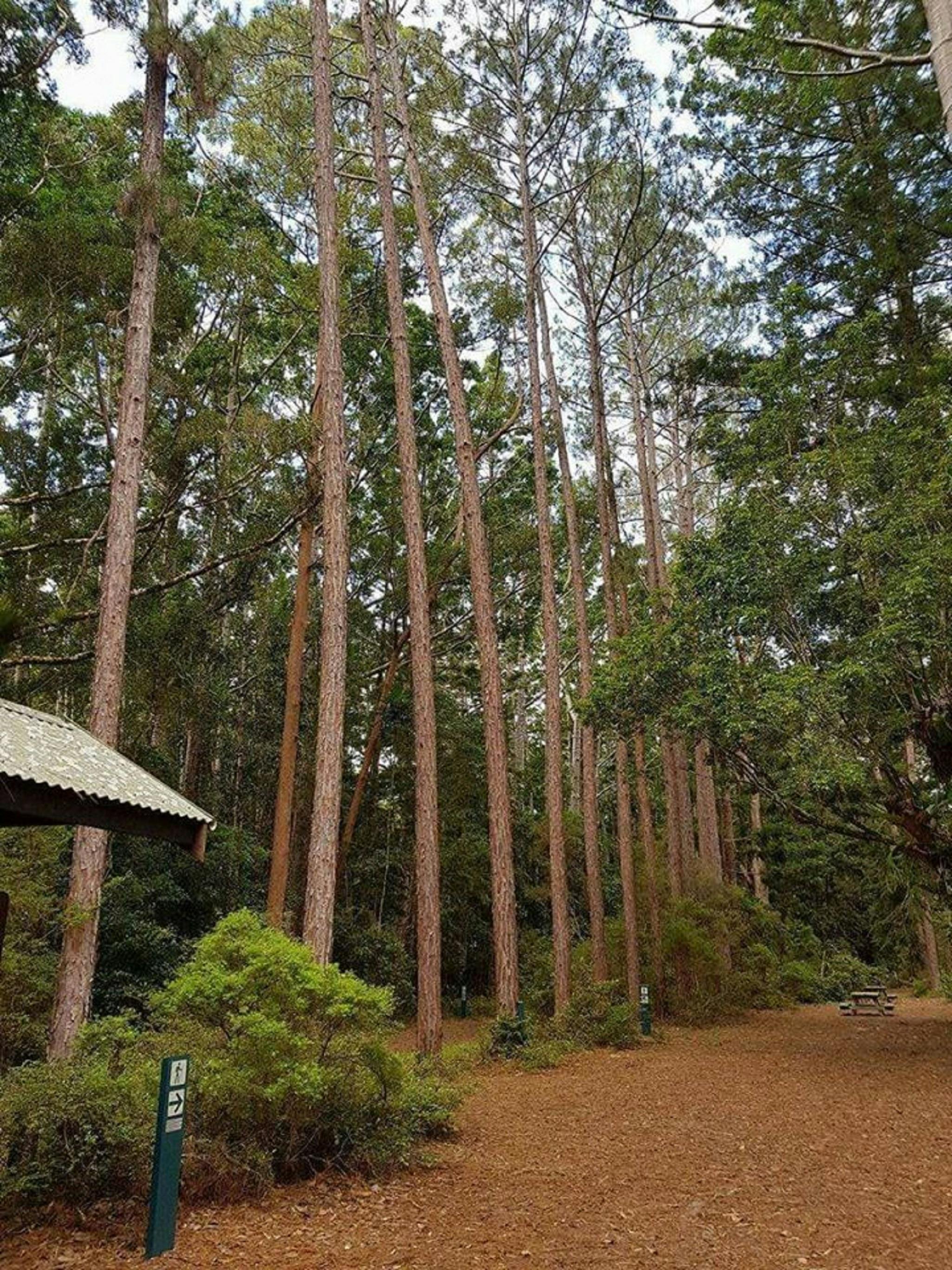 Australia Fraser Island Escape