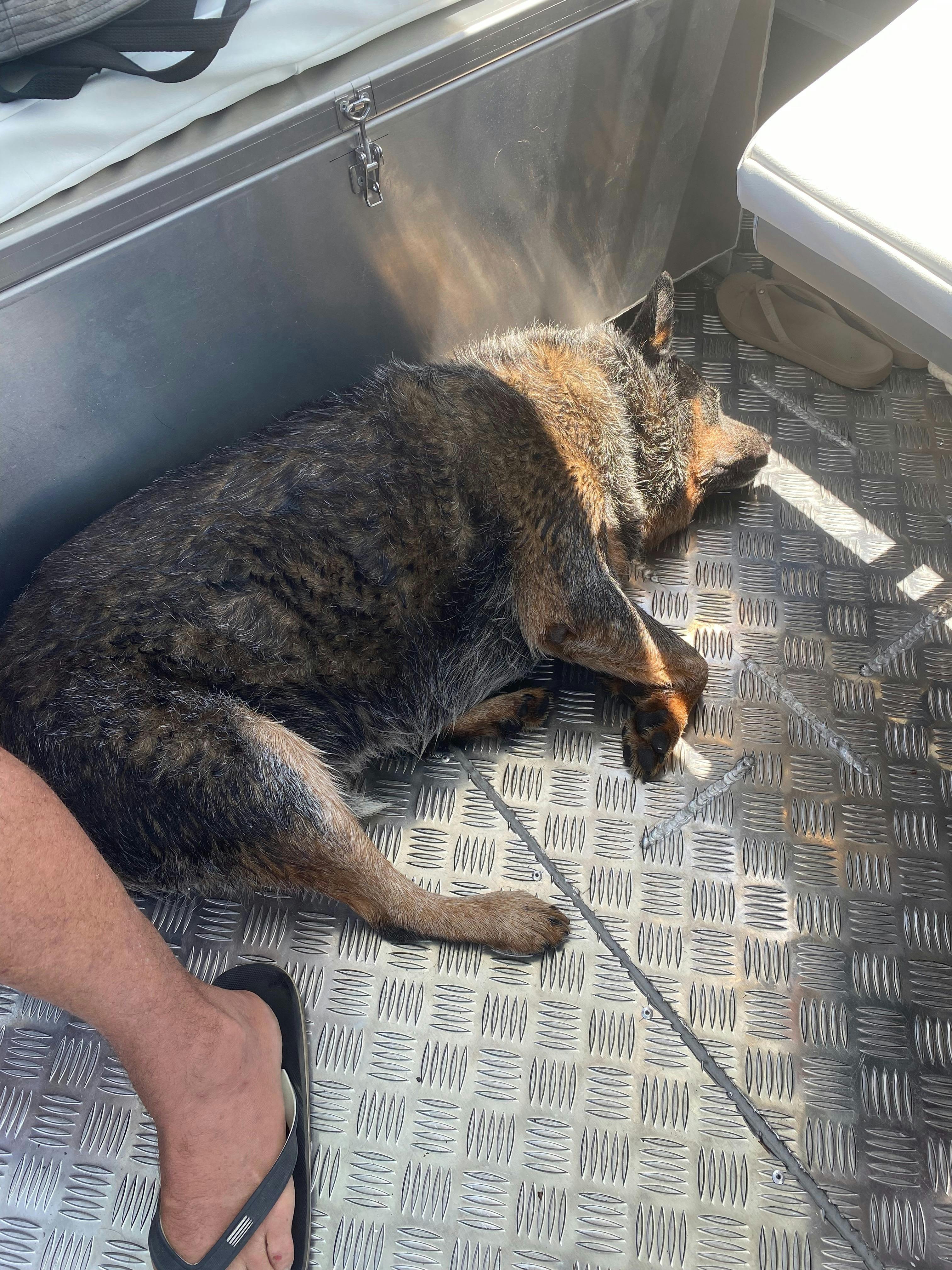 Customers enjoying the ride