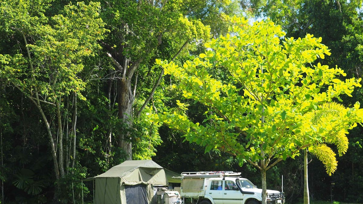 Rainforest Campsite Cape Trib Camping, Tropical North Qld