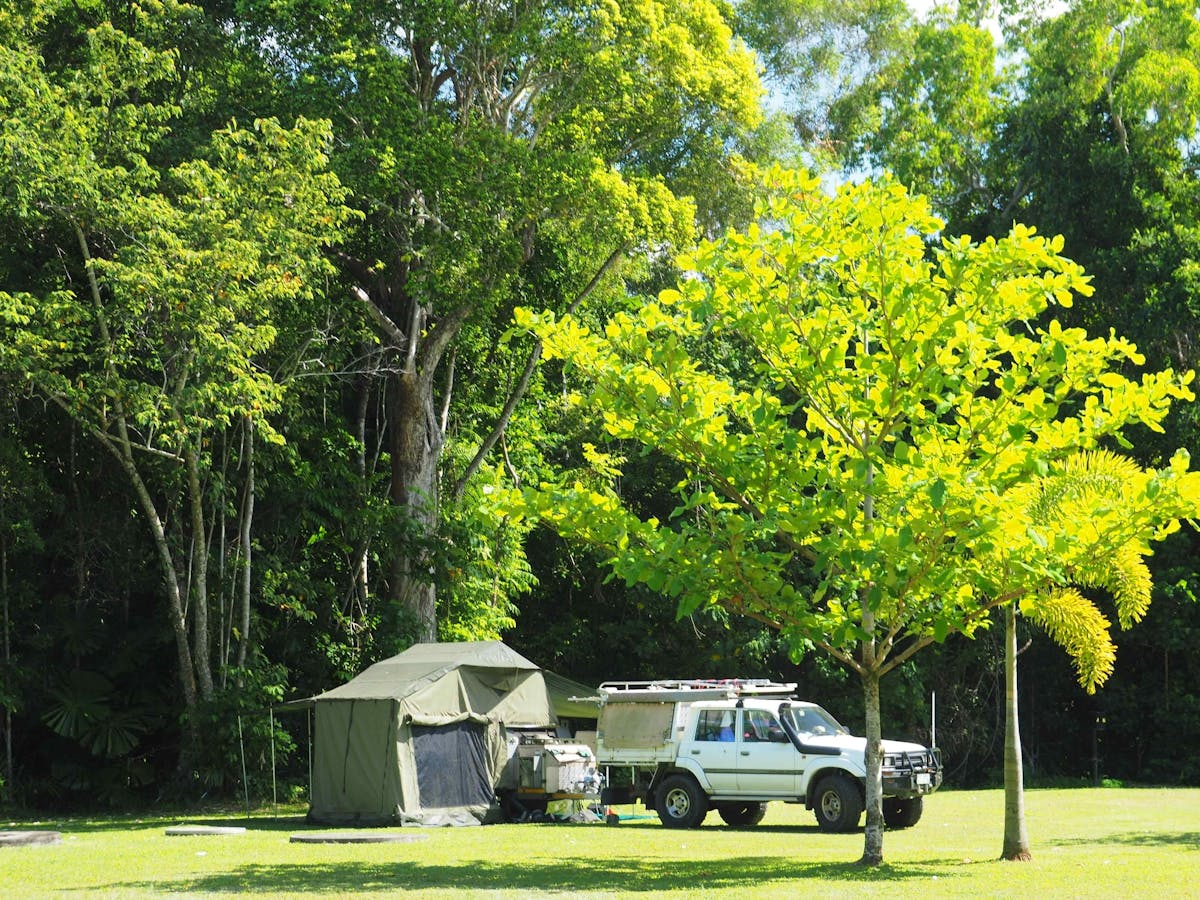 Rainforest Campsite Cape Trib Camping, Tropical North Qld