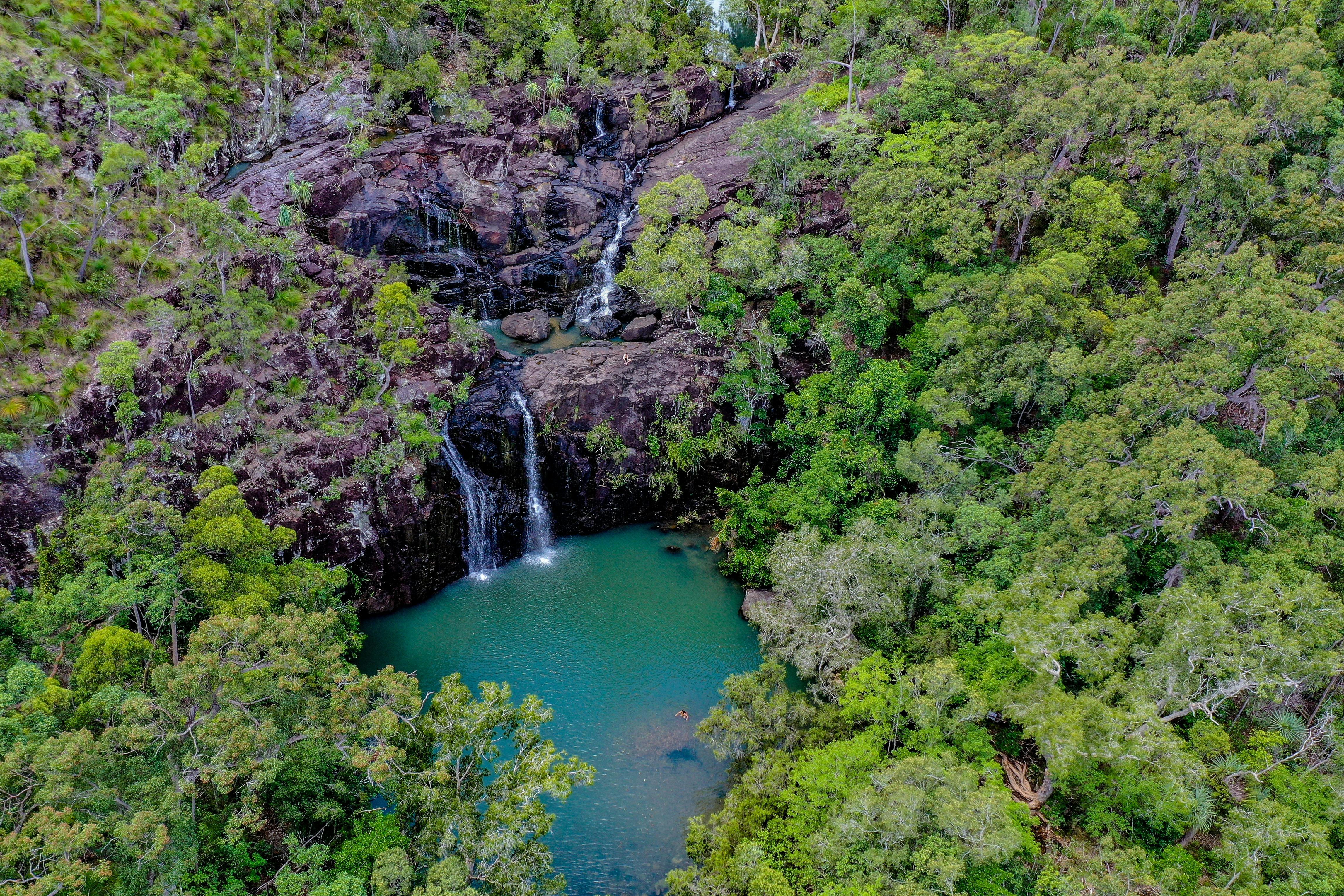 Cedar Creek falls and rockpools surrounded by lushious trees at Conway National Park