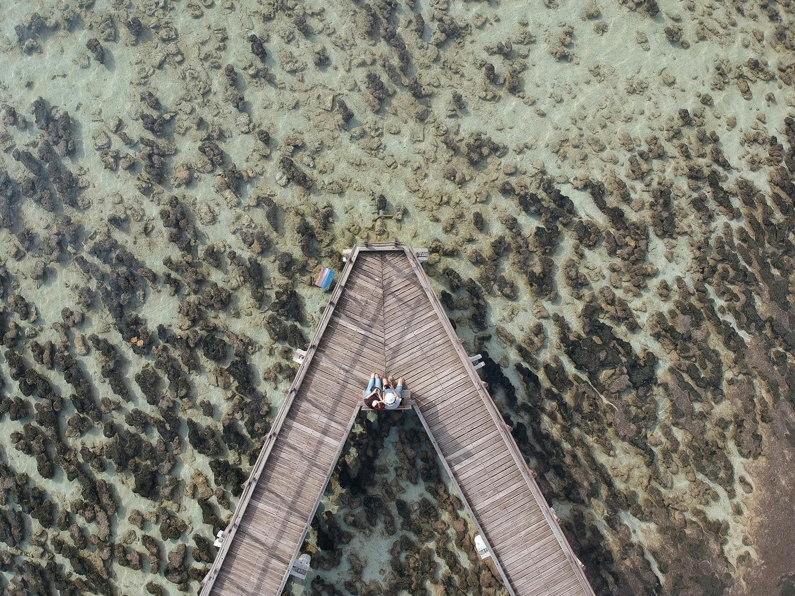 Stromatolites, Hamelin Pool, Shark Bay, Western Australia