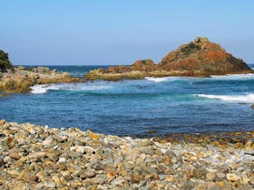 Mimosa Rocks Walking Track