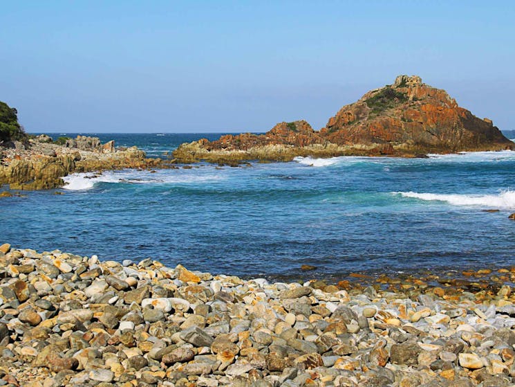 Mimosa Rocks walk, Mimosa Rocks National Park. Photo: John Yurasek Copyright: NSW Government