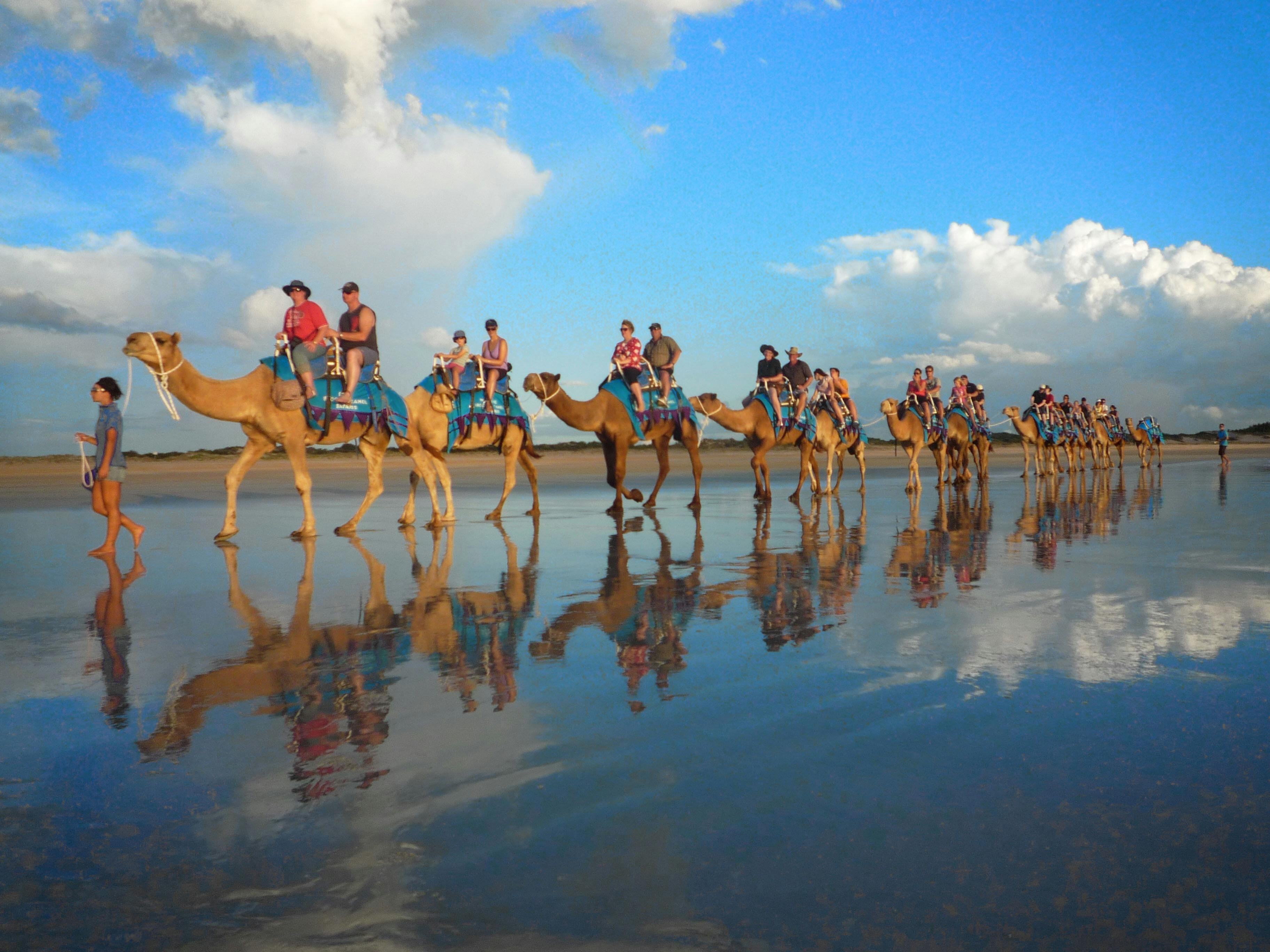Broome Camel Safaris, Cable Beach, Western Australia