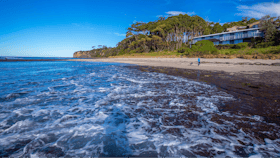 Collers Beach