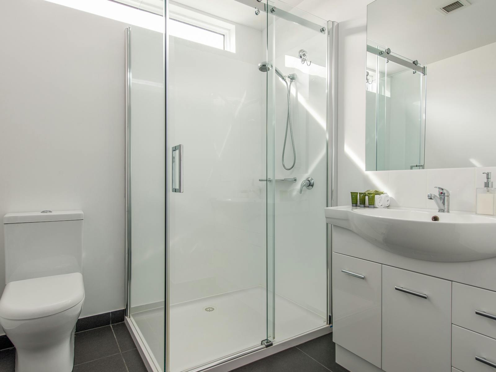 Apartment 1 en-suite bathroom with shower, toilet and vanity