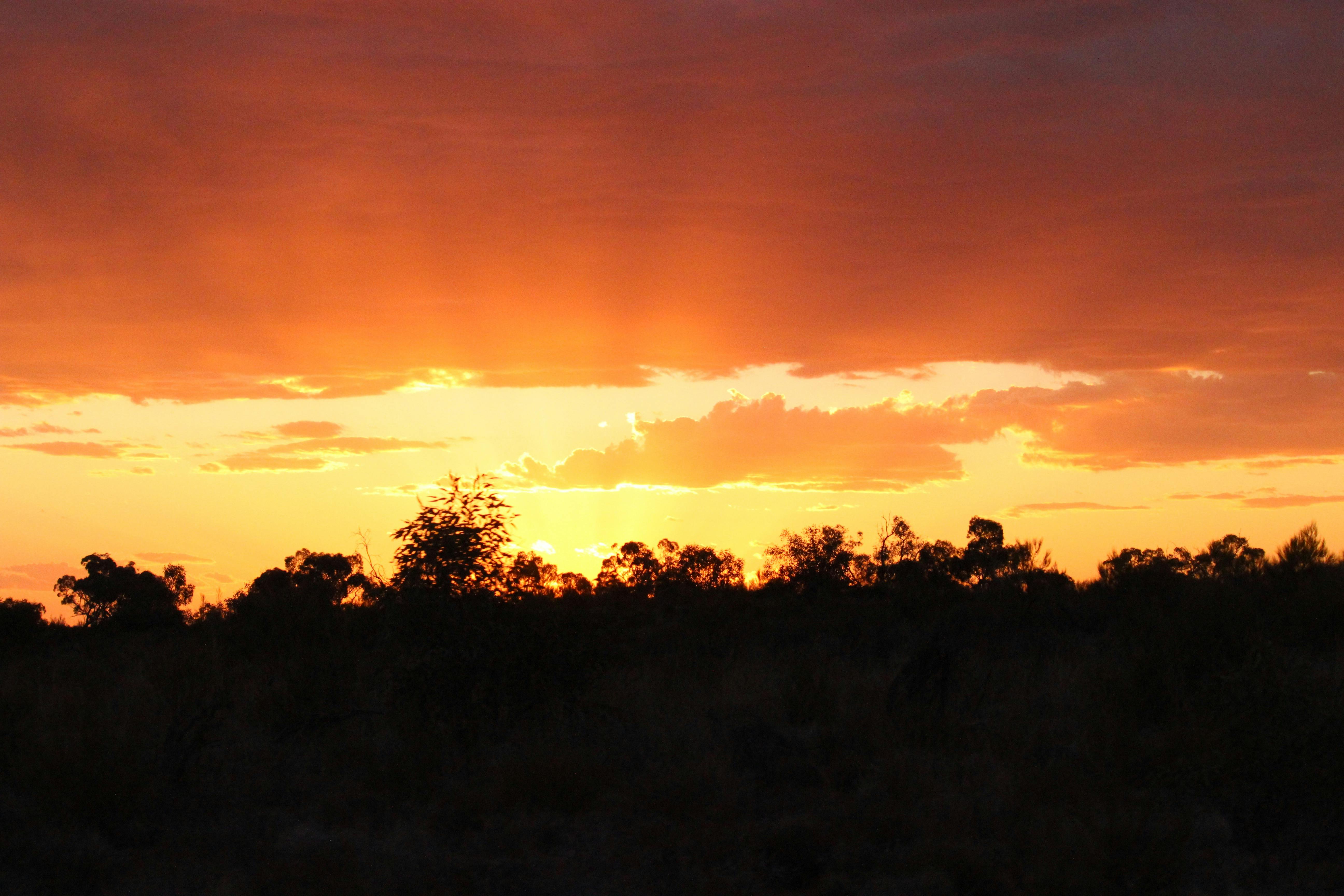 DACA Tours, Laverton, Western Australia