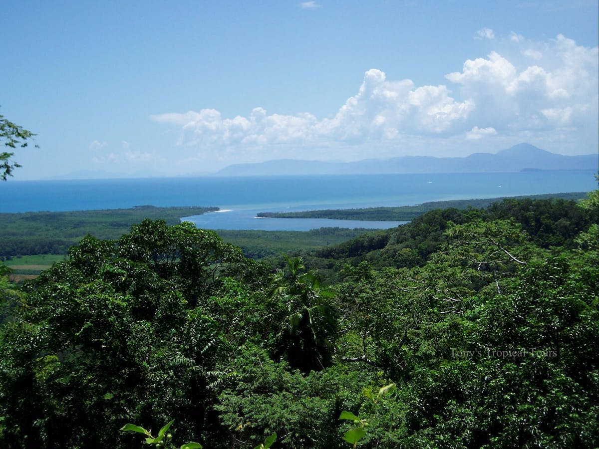 Alexandra Lookout Daintree -Tony's Tropical Tours