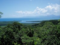 Alexandra Lookout Daintree -Tony's Tropical Tours