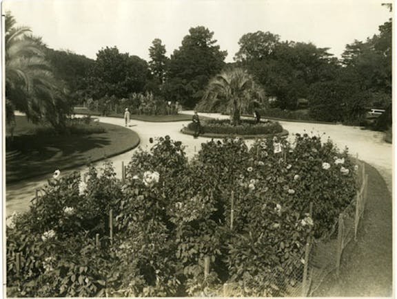 Guided walk: the people's garden