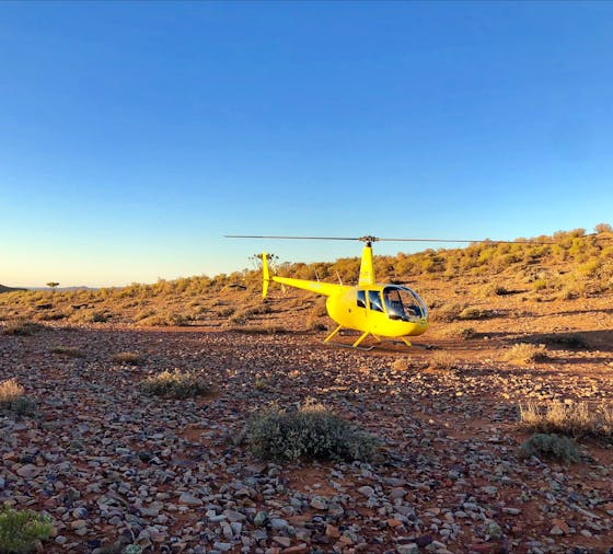 Heli Picnic Lunch